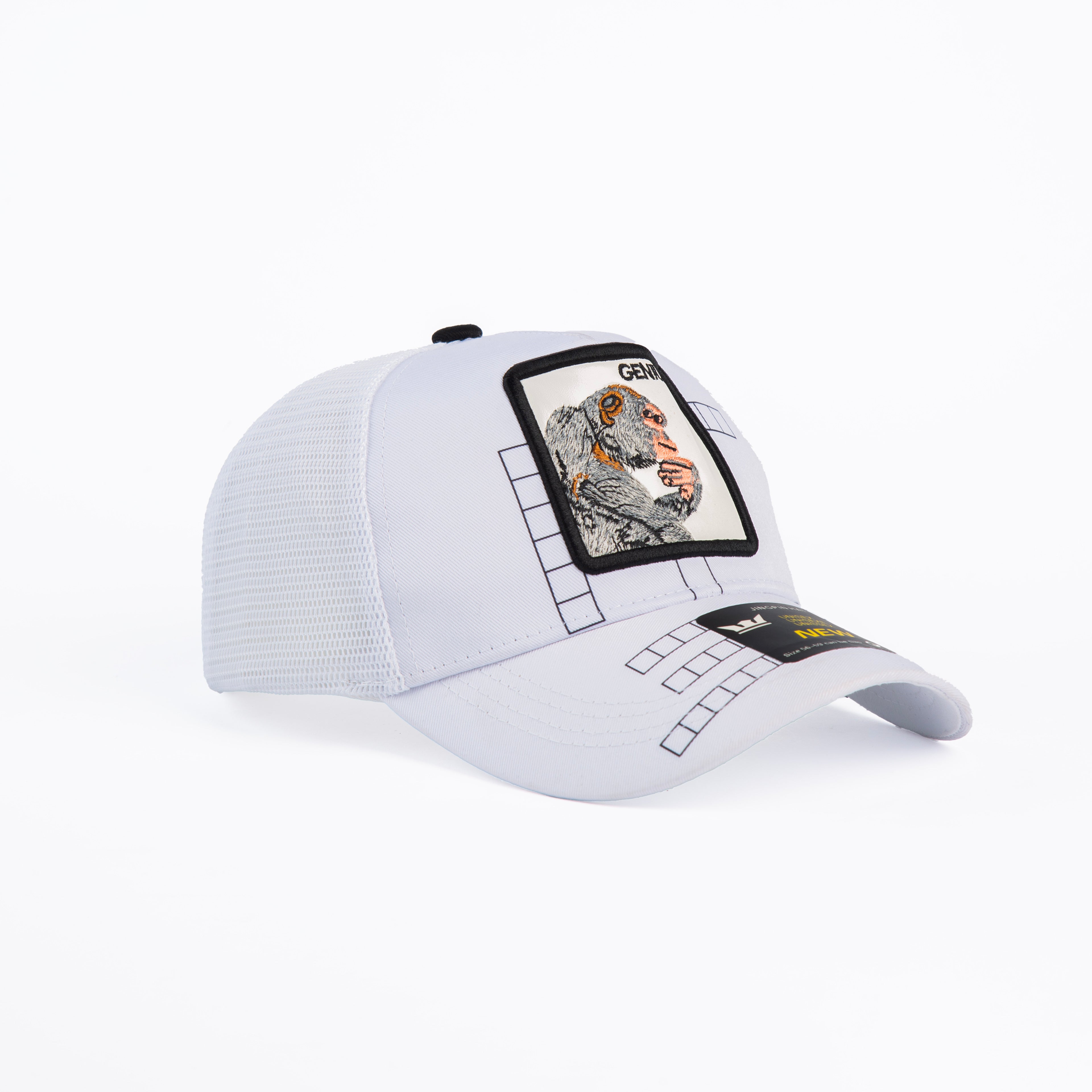 Unisex Trucker Hat "Genuis"