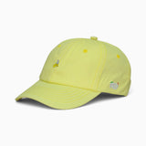 Fruit Embroidery Dad Cap